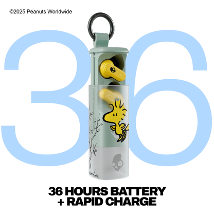 Skullcandy X Peanuts Woodstock