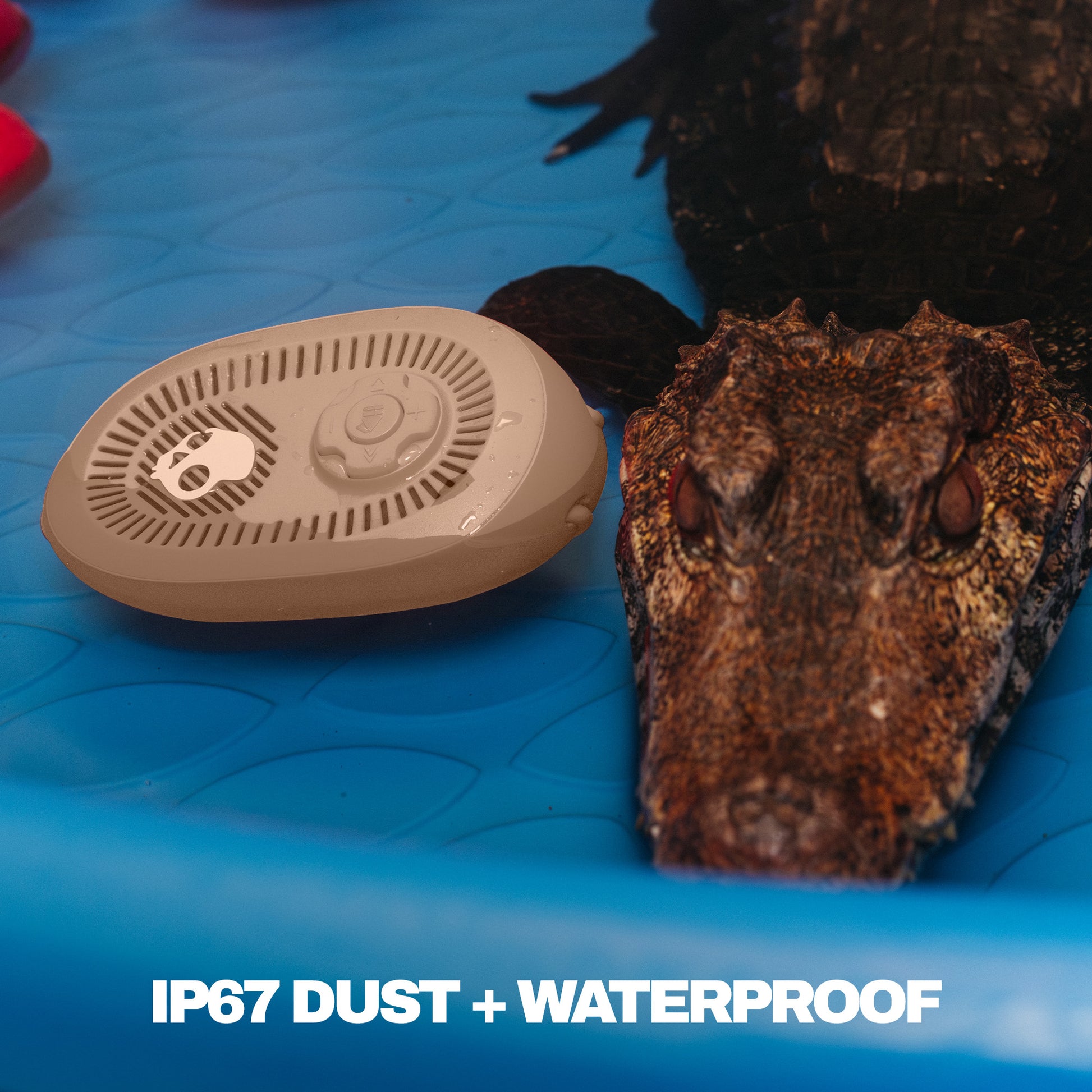 Small brown speaker on a blue surface with a textured rock-like object. | Primer